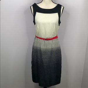 The Limited Black White polka dot dress - 8